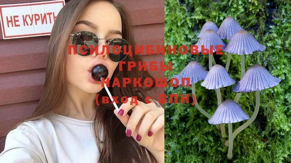 PSILOCYBIN Зерноград