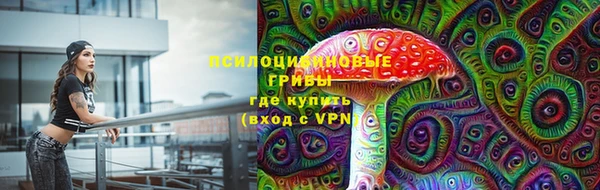 PSILOCYBIN Зерноград