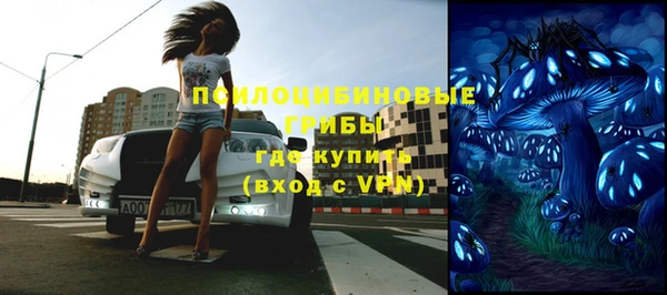 PSILOCYBIN Зерноград