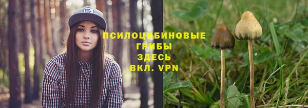 МДПВ Зеленокумск